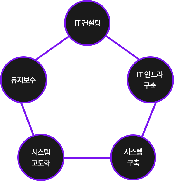 금융, 사기업, 공공기관, 공공의료기관 / IT 컨설팅, IT 인프라 구축, 시스템 구축, 시스템 고도화, 유지보수